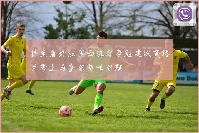 特里看好法国西班牙争冠建议英格兰带上马奎尔与帕尔默