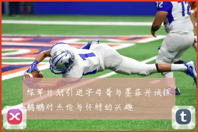 绿军计划引进字母哥与墨菲并试探鹈鹕对杰伦与怀特的兴趣
